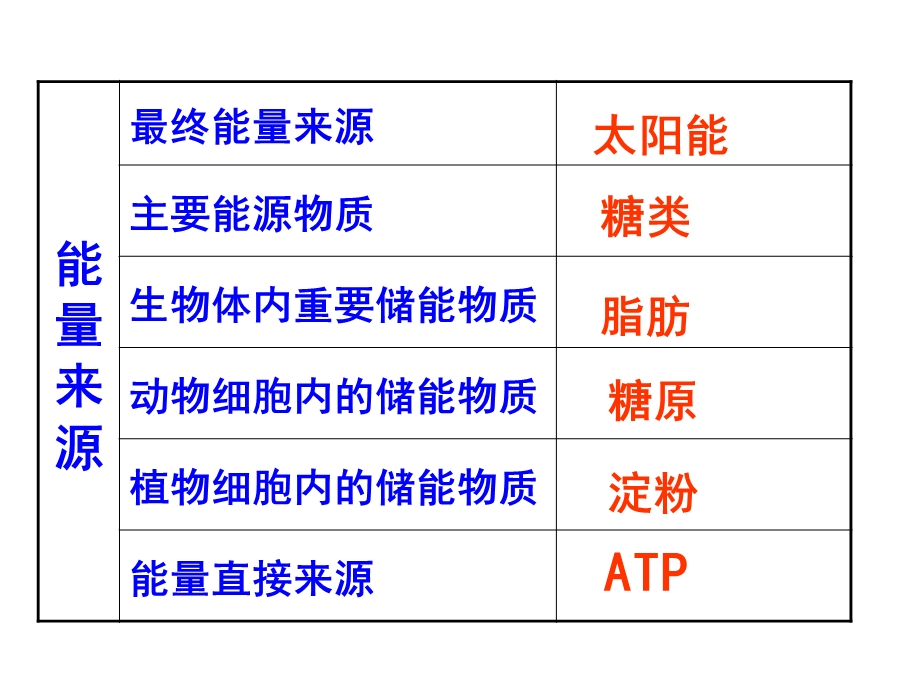 《细胞的能量“通货”──ATP》完成.ppt_第2页