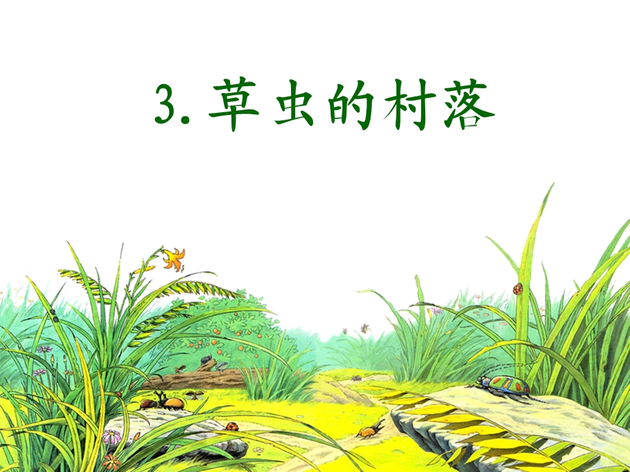 《草虫的村落课件》课件.ppt_第1页