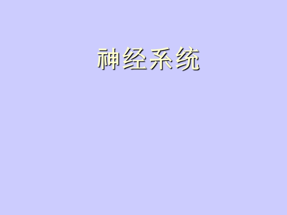 《神经系统解剖》课件.ppt_第1页