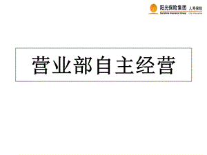 保险公司营业部自主经营.ppt