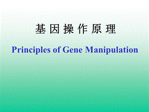 《基因操作原理》课件.ppt