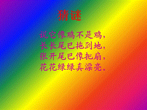 二年级美术《美丽的孔雀》.ppt