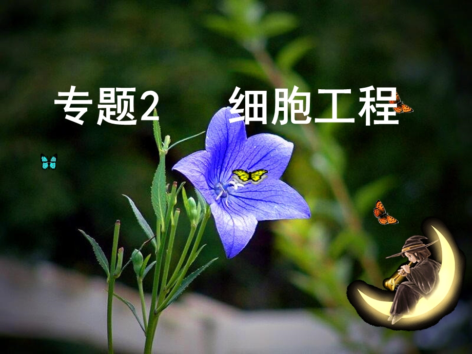 《植物细胞工程的基本技术》课件.ppt_第1页