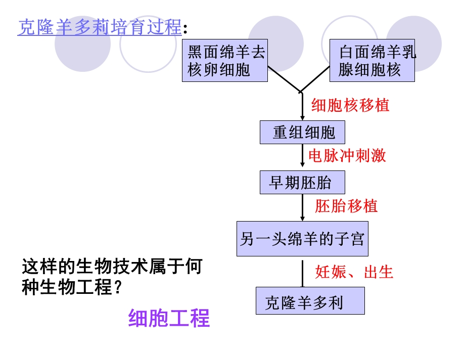 《植物细胞工程的基本技术》课件.ppt_第3页