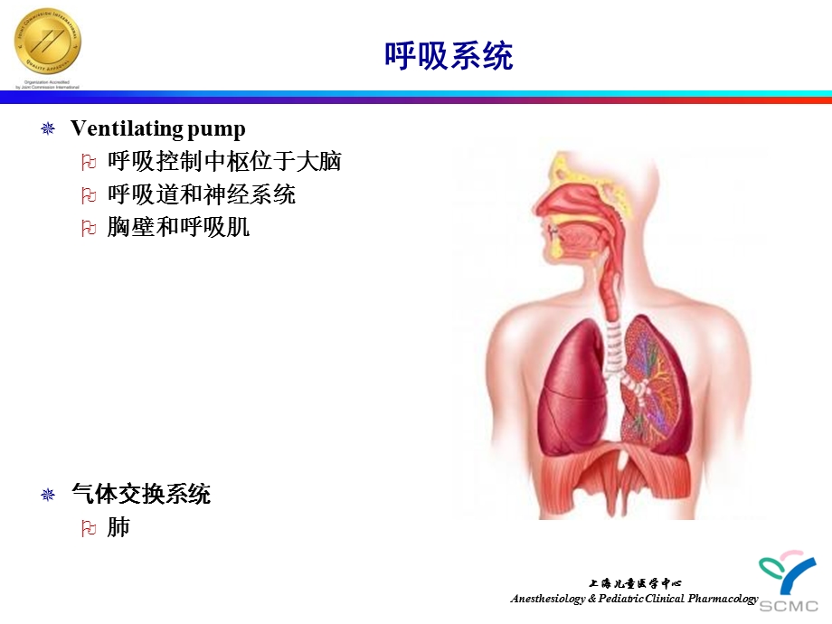 保护性肺通气儿童.ppt_第3页