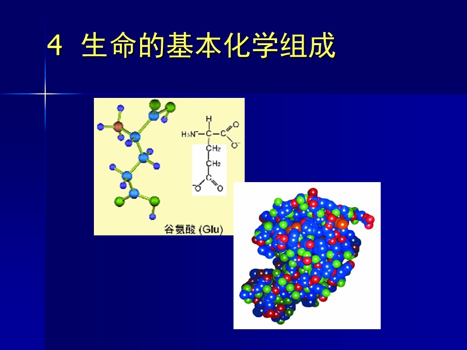 《基础生命科学》生命的基本化学组成.ppt_第1页