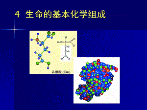 《基础生命科学》生命的基本化学组成.ppt