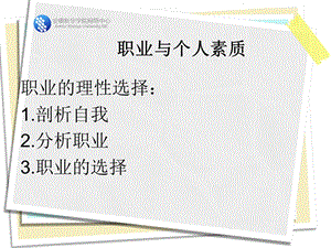 个人素质与职业.ppt