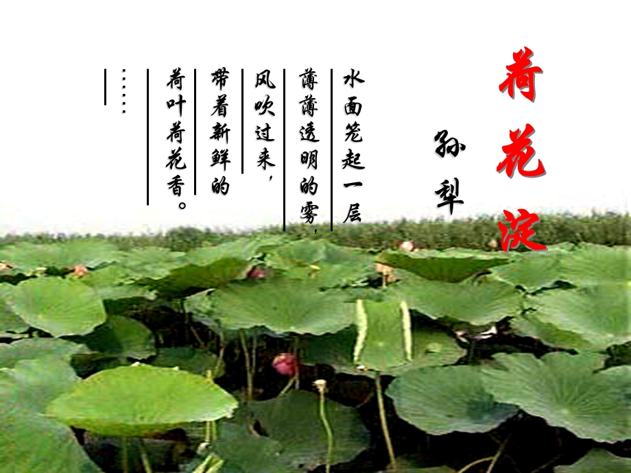 《荷花淀》优秀课件.ppt_第2页