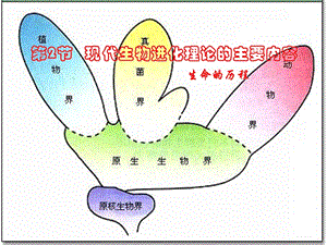 《现代生物进化理论的主要内容》课件.ppt