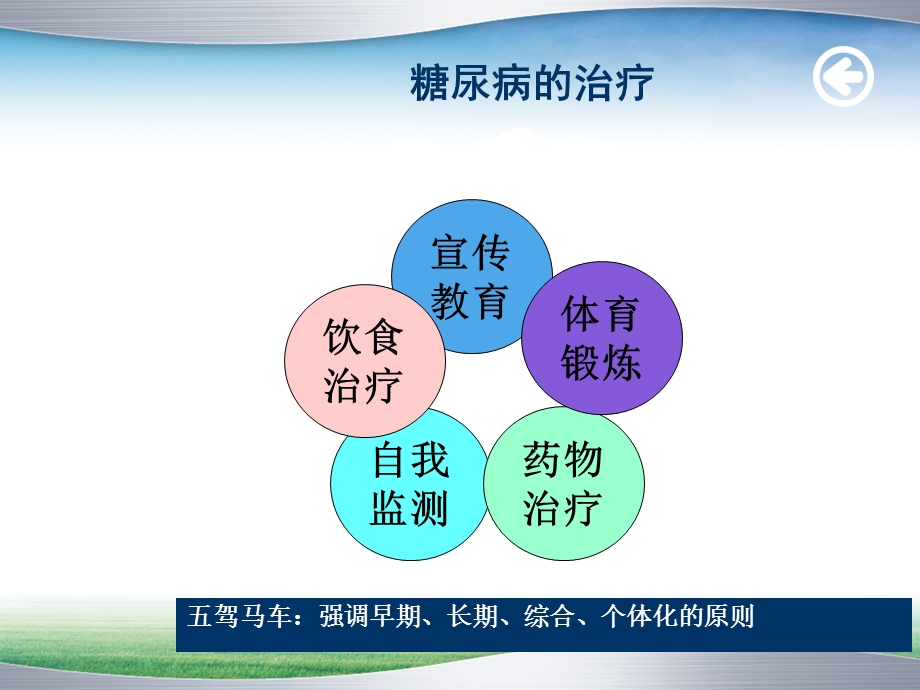 《糖尿病治疗篇》ppt课件.ppt_第2页