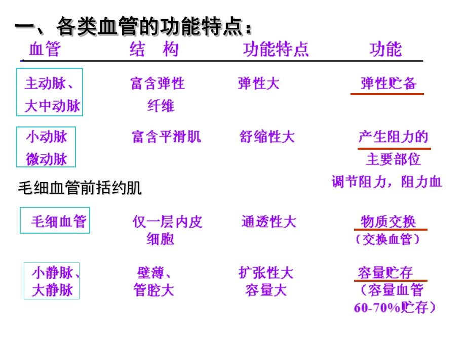 《血管生理》课件.ppt_第2页