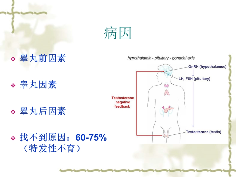 人工授精课件.ppt_第3页