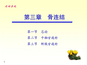 《运动解剖学》第5次课：骨连结.ppt