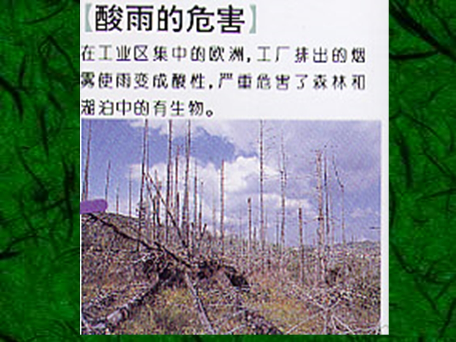 《环境保护与可持续发展》课件PPT -05 全球环境问题.ppt_第3页