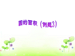 《圆的面积例3》课件.ppt