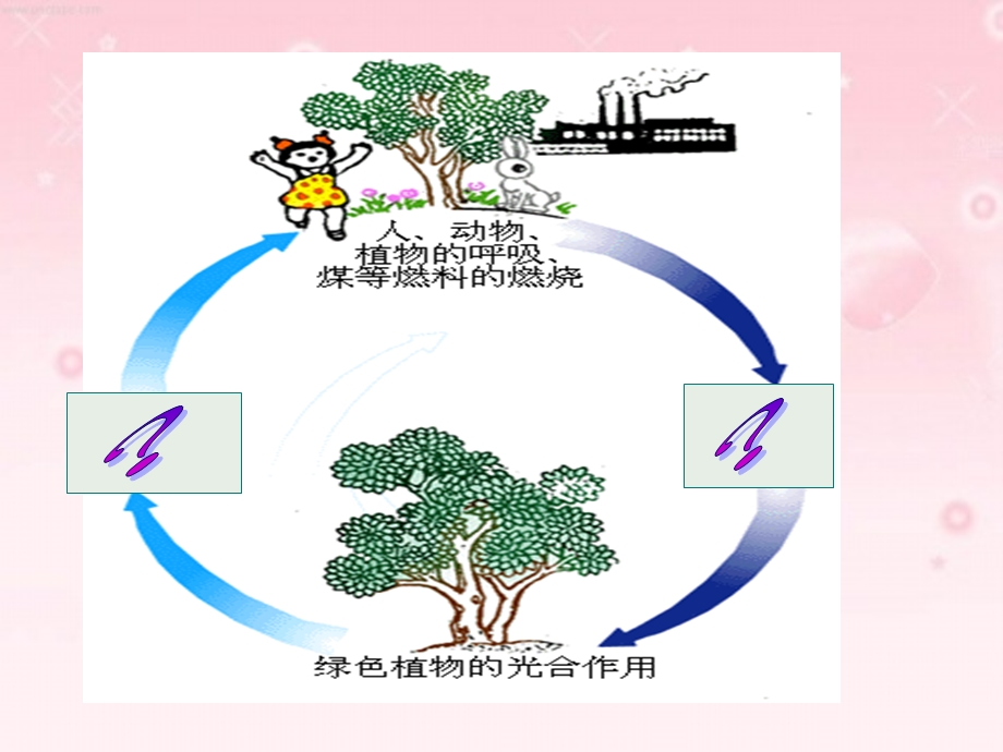 二氧化碳制法的研究教学课件.ppt_第2页