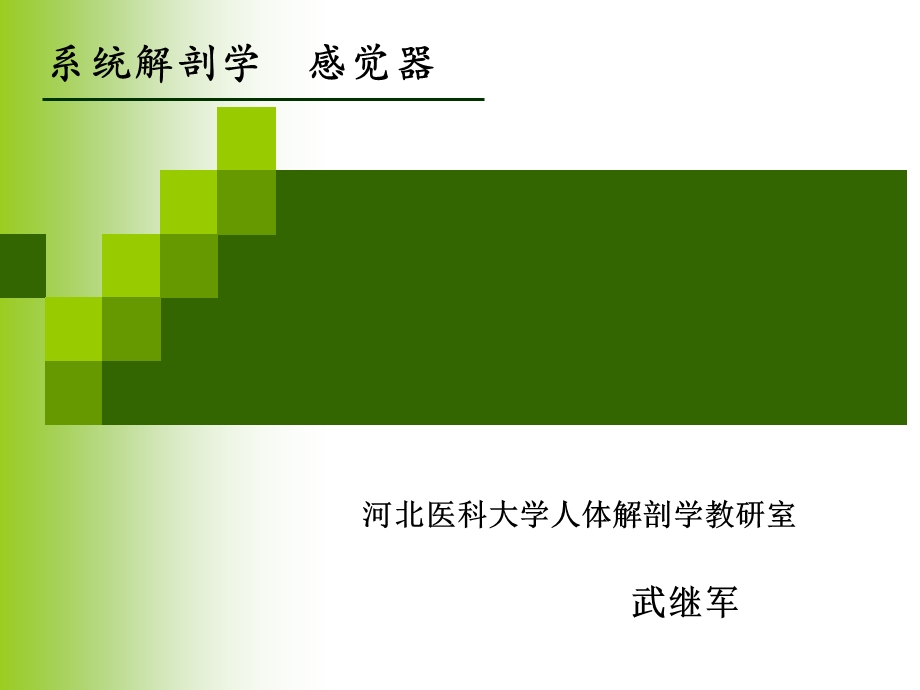 《感觉系统》课件.ppt_第1页