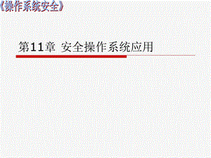 《操作系统安全》第十一章安全操作系统应用.ppt