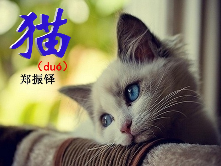 《猫》人教版部编版.ppt_第2页