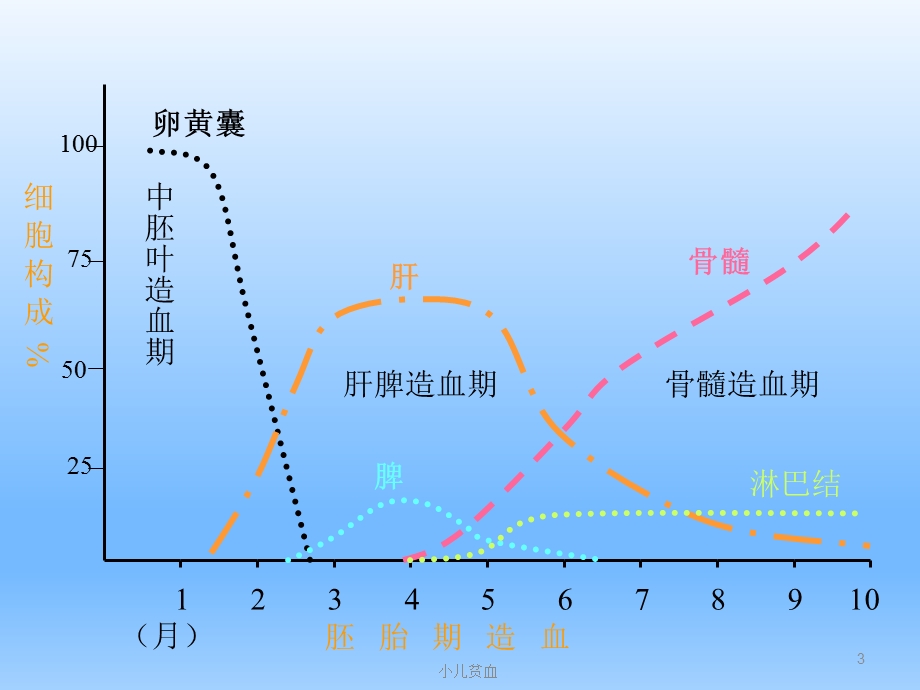 儿科学-小儿贫血ppt课件.ppt_第3页