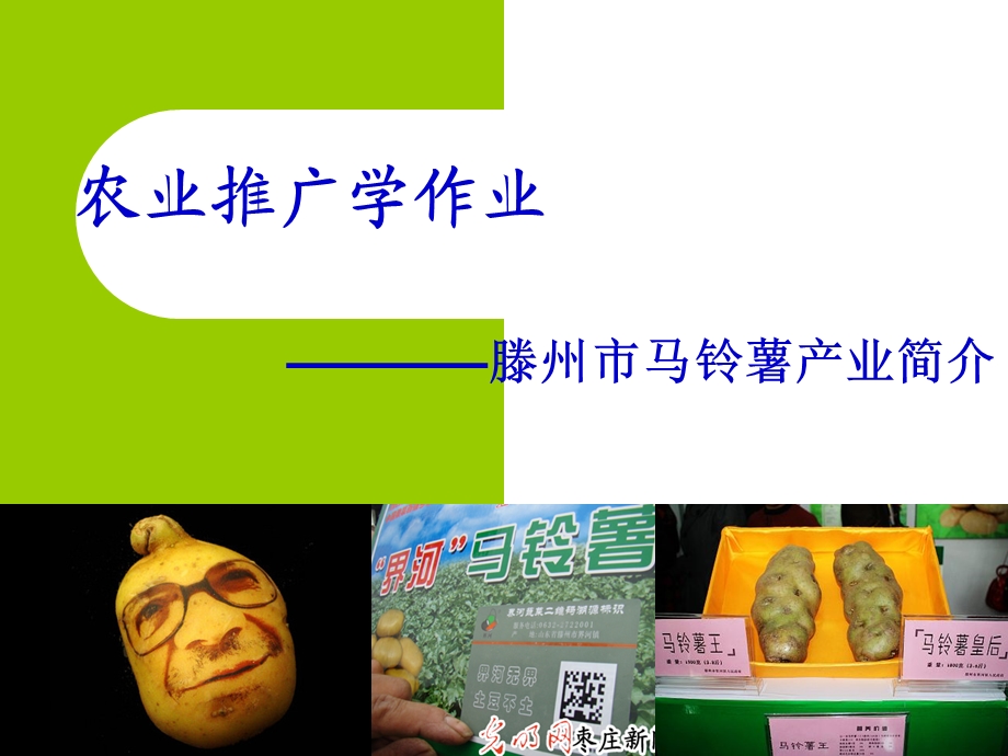 滕州马铃薯产业发展概况.ppt_第1页