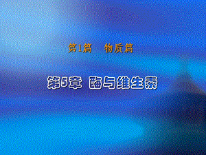 《酶与维生素》课件.ppt