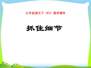 《抓住细节》ppt优秀课件.ppt