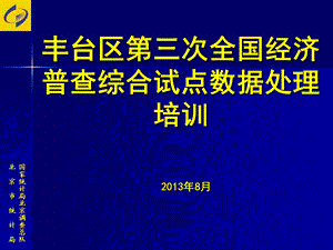 丰台区第三次全国经济普查综合试点数据处理培训.ppt