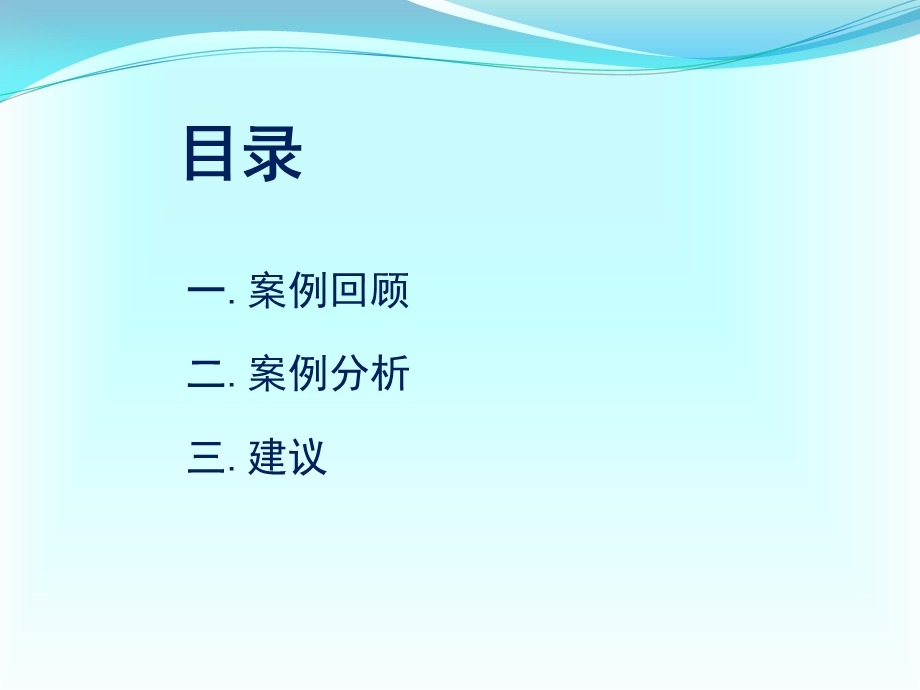 会计师事务所案例分析-鹏城.ppt_第2页