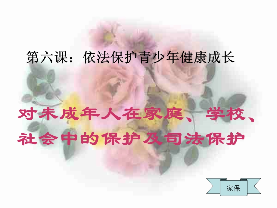 保护青少年的健康成长.ppt_第1页