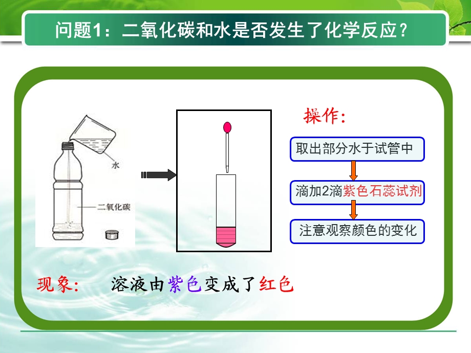 二氧化碳和水的反应.ppt_第3页