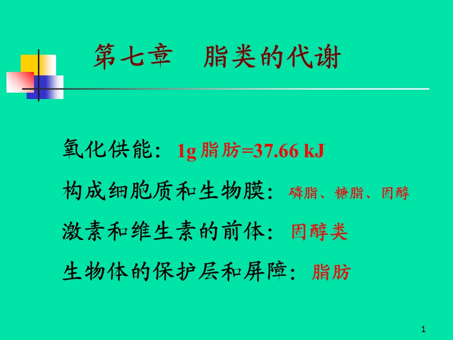 《脂类的代谢》课件.ppt_第1页