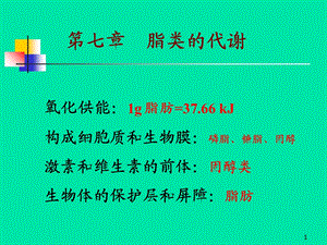 《脂类的代谢》课件.ppt