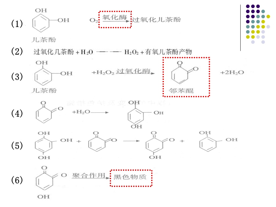 《食品风味化学》课件.ppt_第3页