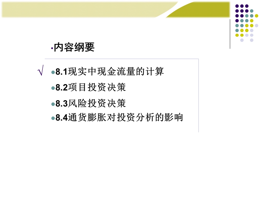 《财务管理学》第八章主讲投资决策实务.ppt_第2页