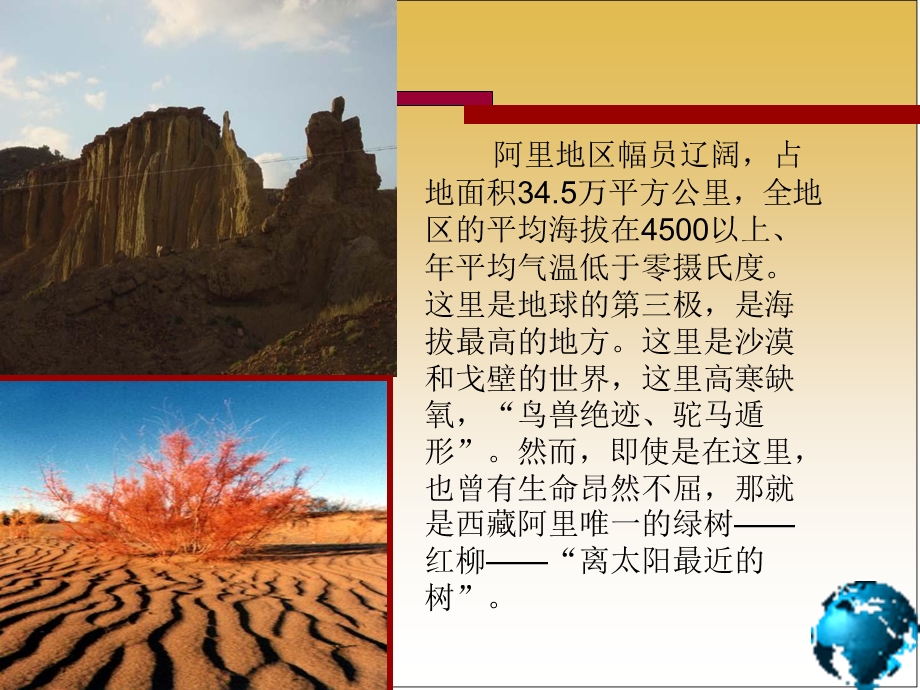 《离太阳最近的树》优质课件.ppt_第2页