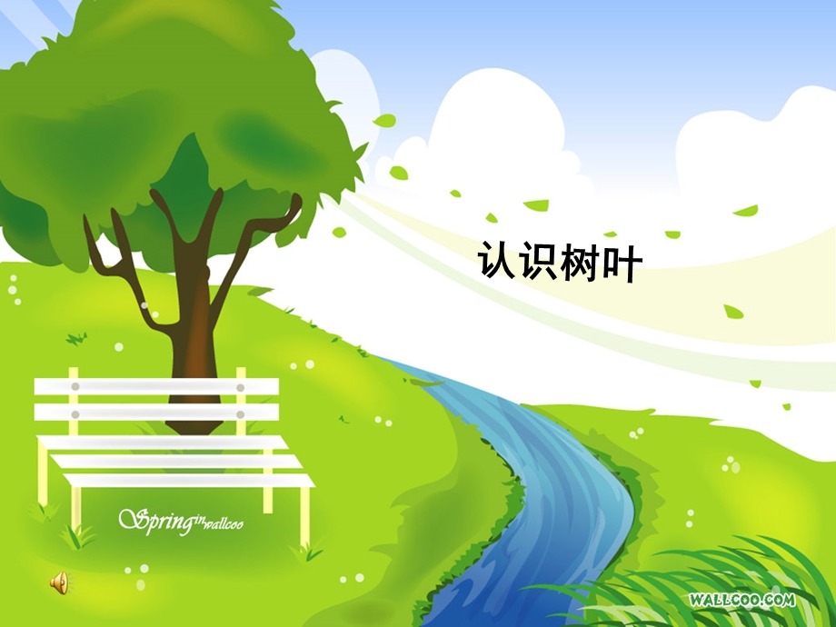 《认识树叶》小学.ppt_第1页