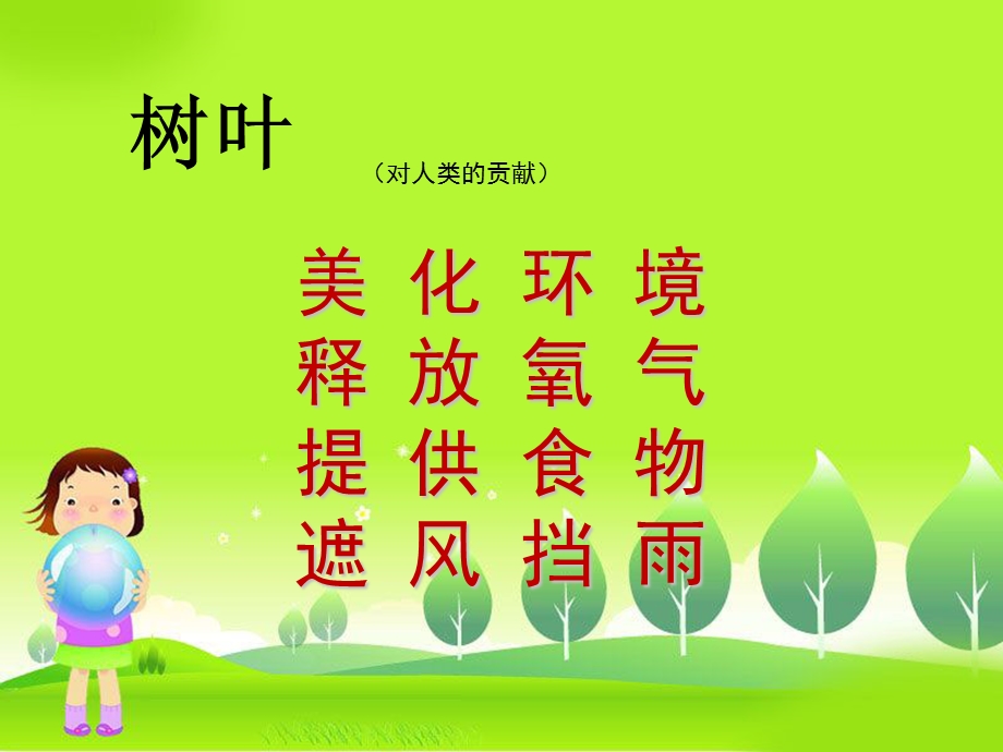 《认识树叶》小学.ppt_第3页