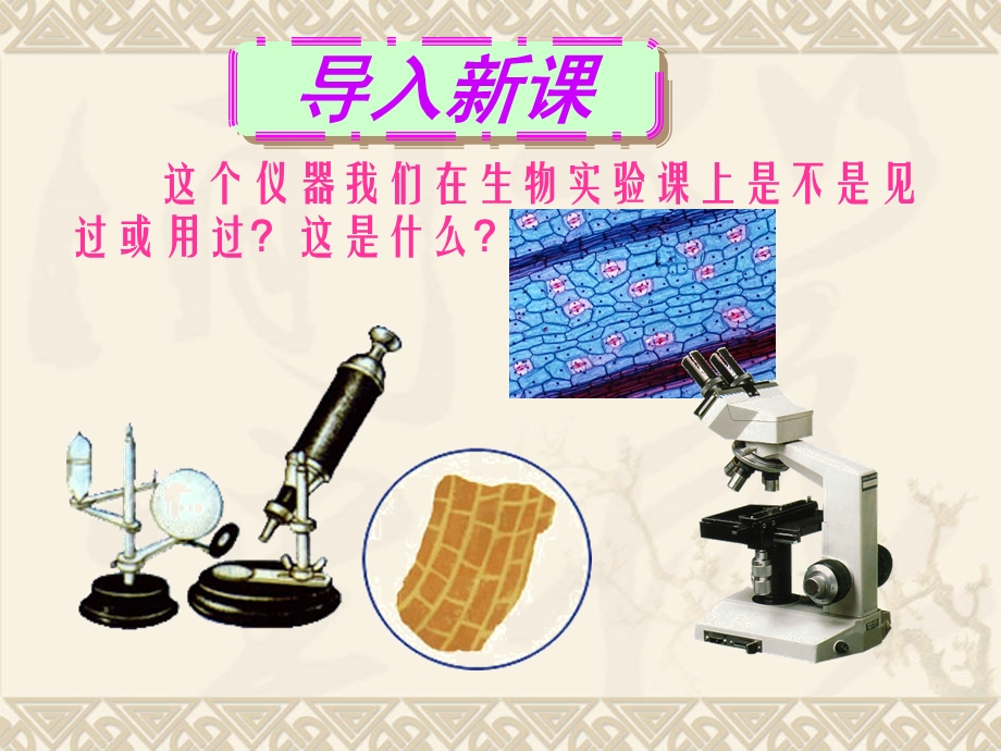 《显微镜和望远镜》精品ppt课件.ppt_第2页