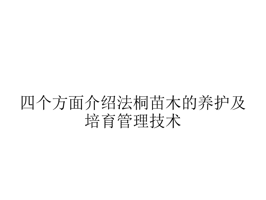 个方面介绍法桐苗木的养护及培育管理技术.ppt_第1页