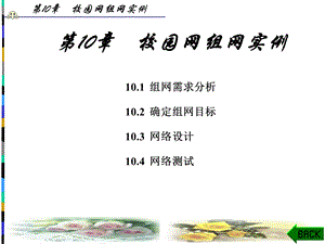 《局域网组建实例教程》课件第10章.ppt