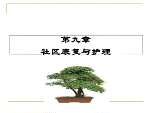 《社区护理学》ppt课件.ppt