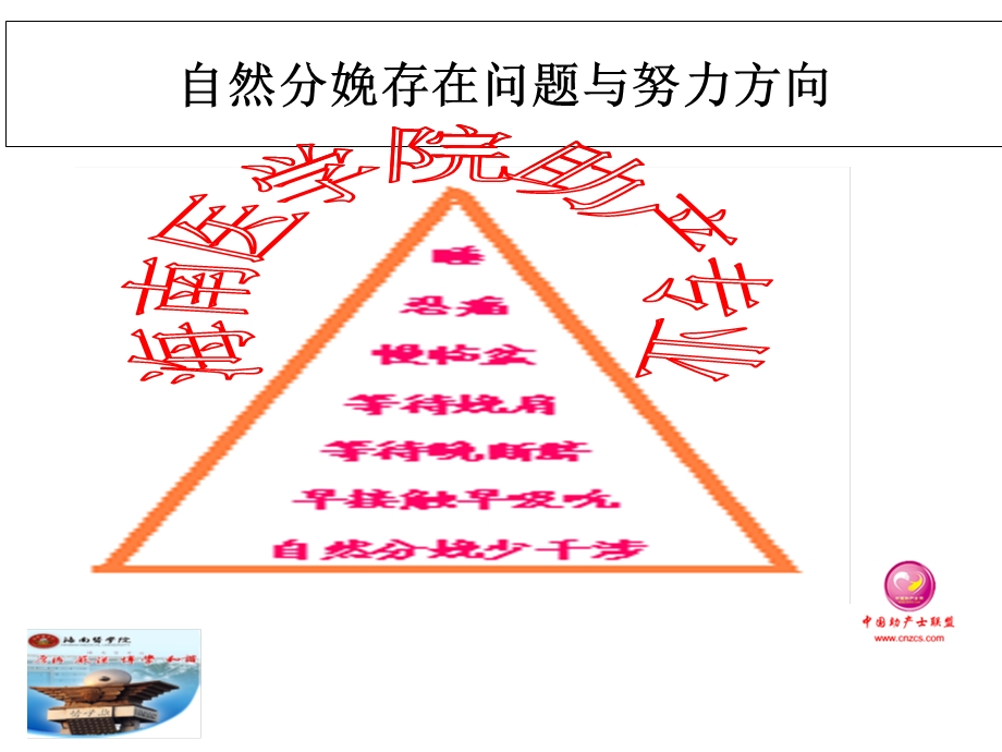 《晚断脐循证研究》ppt课件.ppt_第3页