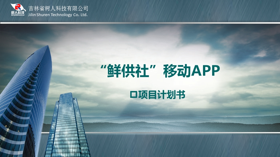 供应链商业计划书.ppt_第1页