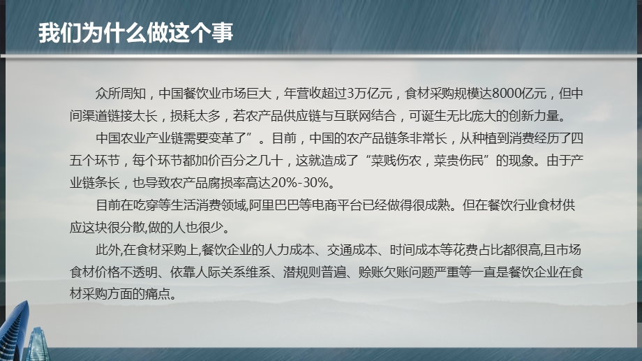 供应链商业计划书.ppt_第3页