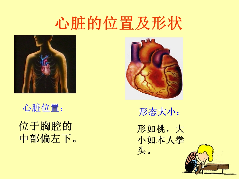 《运动起来会怎样(二)》教学课件ppt.ppt_第2页