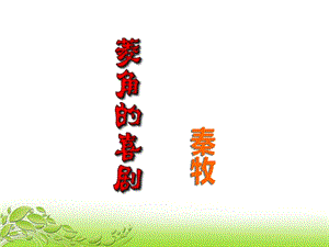 《菱角的喜剧》精.ppt