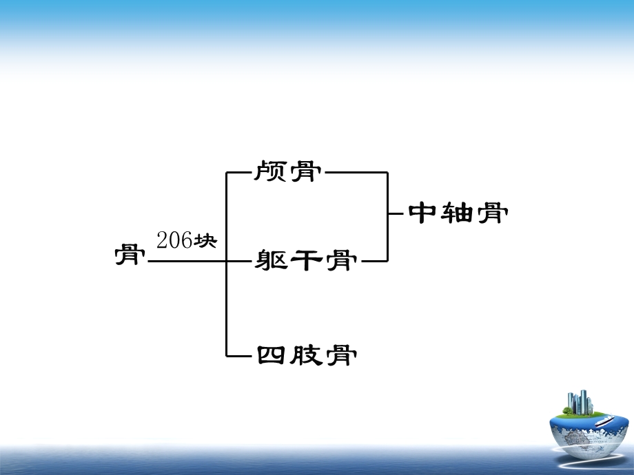 《骨科概论》ppt课件.ppt_第3页