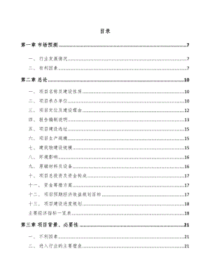 安顺高分子材料项目可行性研究报告.docx